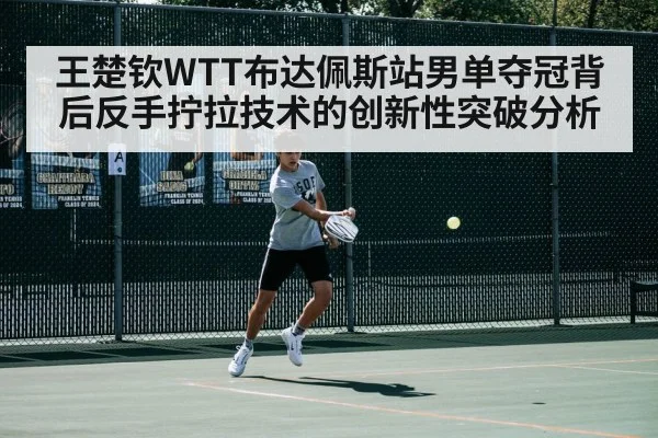 王楚钦WTT布达佩斯站男单夺冠背后反手拧拉技术的创新性突破分析