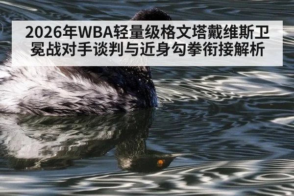 2026年WBA轻量级格文塔戴维斯卫冕战对手谈判与近身勾拳衔接解析 | j9 game