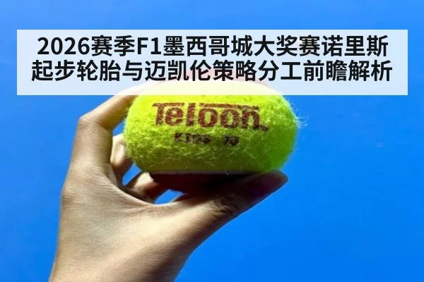 2026赛季F1墨西哥城大奖赛诺里斯起步轮胎与迈凯伦策略分工前瞻解析